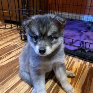 Meet your Posher, Gabby